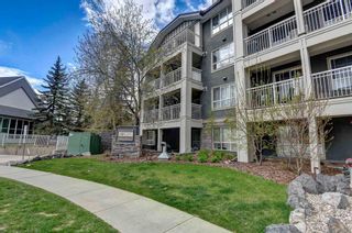 Photo 1: 449 35 Richard Court SW in Calgary: Lincoln Park Apartment for sale : MLS®# A2129003