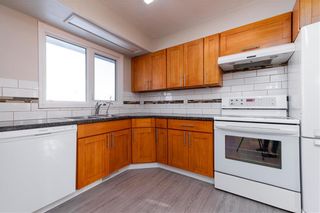 Photo 9: 417 Meadowood Drive in Winnipeg: Residential for sale (2E)  : MLS®# 202127798