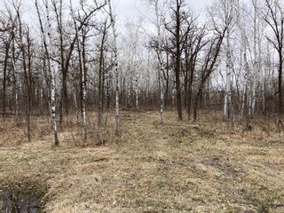 Photo 3: 15 Poplar Street in Roseau River: Vacant Land for sale : MLS®# 202304247