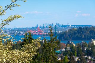 Photo 10: 2522 PALMERSTON Avenue in West Vancouver: Dundarave House for sale : MLS®# R2881209