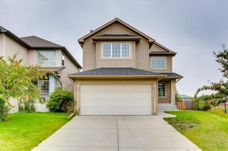 Photo 1: 250 MARTHA'S Manor NE in Calgary: Martindale Detached for sale : MLS®# C4267233