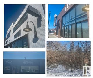 Photo 50: 9352 74 Avenue in Edmonton: Zone 17 House for sale : MLS®# E4331280