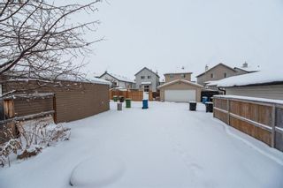 Photo 34: 691 Taradale Drive NE in Calgary: Taradale Detached for sale : MLS®# A2028488