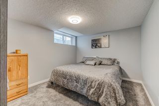 Photo 28: 167 Skyview Shores Crescent NE in Calgary: Skyview Ranch Detached for sale : MLS®# A2019286