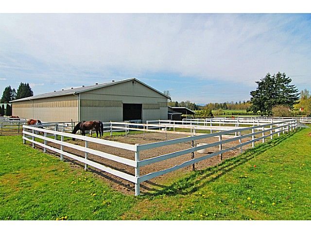 Photo 19: Photos: 21515 18TH Avenue in Langley: Campbell Valley House for sale in "Equestrian Riding Ring" : MLS®# F1407978