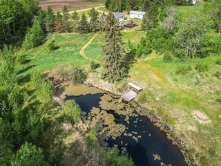 Photo 46: 452045 RR 12A: Rural Wetaskiwin County House for sale : MLS®# E4342379