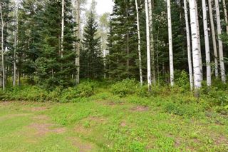 Photo 25: 6793 KROEKER Road in Smithers: Smithers - Rural Manufactured Home for sale in "Glacier View Estates" (Smithers And Area (Zone 54))  : MLS®# R2495709