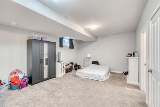 Photo 23: 29 Marquis Heights SE in Calgary: Mahogany Detached for sale : MLS®# A1255372