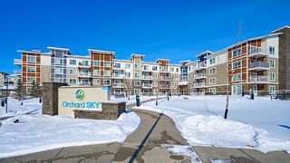 Photo 3: 2102 302 Skyview Ranch Drive NE in Calgary: Skyview Ranch Apartment for sale : MLS®# A2031596
