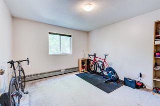 Photo 14: 202 21 Dover Point SE in Calgary: Dover Apartment for sale : MLS®# A1236669