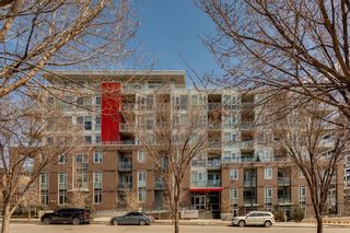 Photo 3: 318 88 9 Street NE in Calgary: Bridgeland/Riverside Apartment for sale : MLS®# A2123014