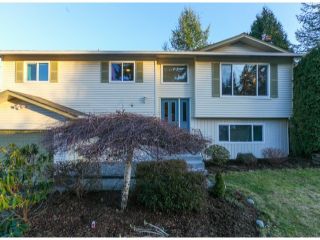 Photo 1:  in langley: Home for sale : MLS®# f1430295