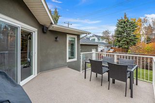 Photo 44: 24 Lenton Place SW in Calgary: North Glenmore Park Detached for sale : MLS®# A2101319
