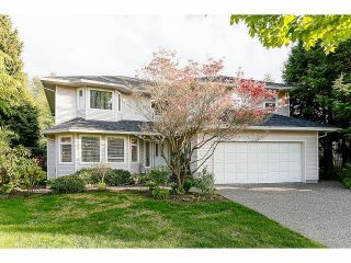 Photo 1: 15686 90A Avenue in Surrey: Fleetwood Tynehead House for sale : MLS®# F1411061