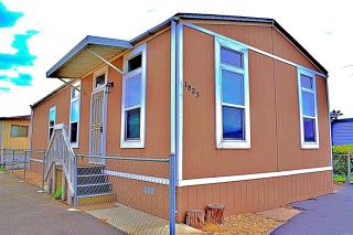 Main Photo: Manufactured Home for sale : 3 bedrooms : 1833 Cindy in San Diego