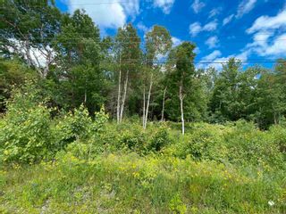 Photo 3: Lot 22-1 Pleasant Drive in Lyons Brook: 108-Rural Pictou County Vacant Land for sale (Northern Region)  : MLS®# 202215225