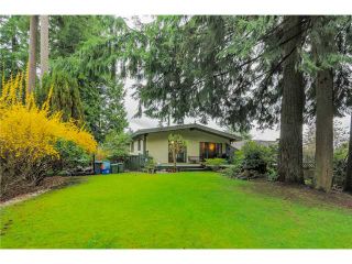 Photo 11: 3099 WILLIAM Avenue in North Vancouver: Lynn Valley House for sale : MLS®# V1110631