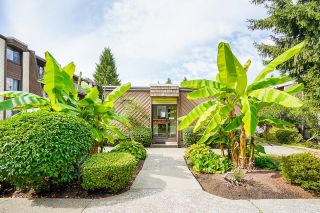Photo 26: 213 3921 CARRIGAN Court in Burnaby: Government Road Condo for sale in "LOUGHEED ESTATES" (Burnaby North)  : MLS®# R2619232