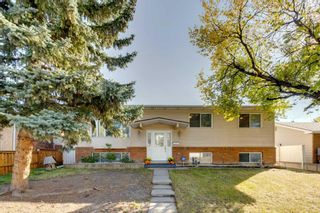 Main Photo: 311 Temple Close NE in Calgary: Temple Detached for sale : MLS®# A2082960