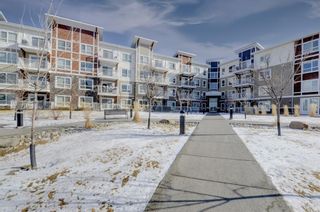 Photo 4: 2217 302 Skyview Ranch Drive in Calgary: Skyview Ranch Apartment for sale : MLS®# A1200094
