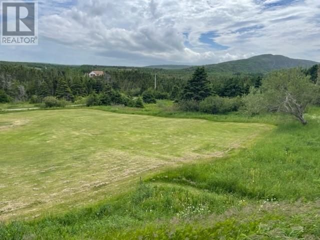 Main Photo: 105 Main Road in Lourdes: Vacant Land for sale : MLS®# 1246834