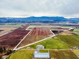 Photo 1: 8201 DYKE Road in Abbotsford: Bradner Agri-Business for sale : MLS®# C8051831