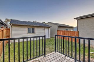 Photo 44: 33 Masters Cres SE in Calgary: Mahogany House for sale : MLS®# 	A2085285
