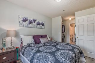 Photo 24: 116 260 Shawville Way SE in Calgary: Shawnessy Apartment for sale : MLS®# A2043979
