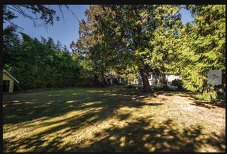 Photo 10: 5000 CLIFF Drive in Delta: Cliff Drive House for sale (Tsawwassen)  : MLS®# R2859462