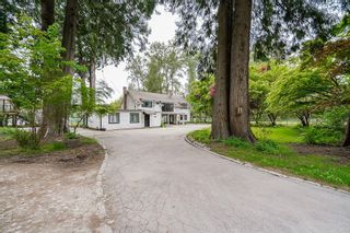 Photo 5: 13375 CEDAR Way in Maple Ridge: North Maple Ridge House for sale : MLS®# R2699690