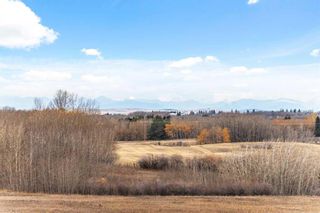 Photo 16: 290099 1016 Drive E: Rural Foothills County Detached for sale : MLS®# A2088806