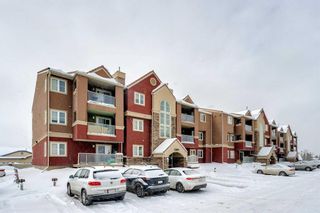 Photo 17: 1331 1300 Edenwold Heights NW in Calgary: Edgemont Apartment for sale : MLS®# A2128420