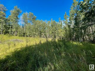 Photo 9: 16 453001 HWY 771: Rural Wetaskiwin County Vacant Lot/Land for sale : MLS®# E4304815