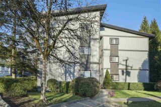 Photo 1: 239 202 WESTHILL Place in Port Moody: College Park PM Condo for sale in "Westhill Place" : MLS®# R2558066