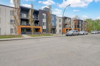 Photo 3: 208 2715 12 Avenue SE in Calgary: Albert Park/Radisson Heights Apartment for sale : MLS®# A2047659