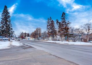 Photo 15: 137 26 Avenue NE in Calgary: Tuxedo Park Detached for sale : MLS®# A2017680