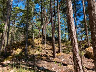 Photo 8: Lot 30 WOOD BAY Ridge in Halfmoon Bay: Halfmn Bay Secret Cv Redroofs Land for sale in "Wood Bay Heights" (Sunshine Coast)  : MLS®# R2708737