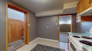 Photo 23: 4612 117A Street in Edmonton: Zone 15 House for sale : MLS®# E4330095