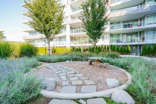 Photo 26: 235 12339 STEVESTON Highway in Richmond: Ironwood Condo for sale in "The Gardens" : MLS®# R2497690