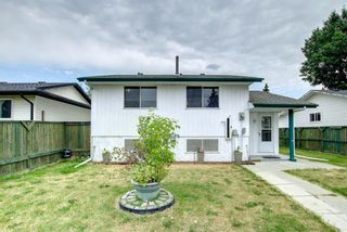 Photo 43: 655 Templeside Road NE in Calgary: Temple Detached for sale : MLS®# A1250670