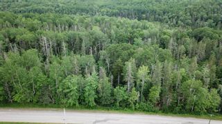 Photo 11: Lot Greenfield Road in Greenfield: Kings County Vacant Land for sale (Annapolis Valley)  : MLS®# 202403693