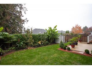Photo 19: 20132 68A Avenue in Langley: Willoughby Heights House for sale in "Woodbridge" : MLS®# R2318451
