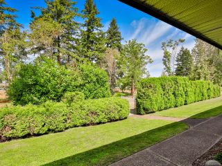 Photo 8: 2 215 Evergreen St in PARKSVILLE: PQ Parksville Row/Townhouse for sale (Parksville/Qualicum)  : MLS®# 823726