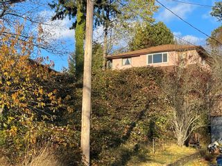 Photo 33: 382 Pine St in Nanaimo: Na Old City House for sale : MLS®# 919873