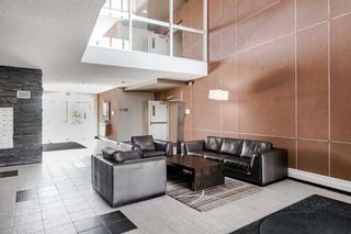 Photo 38: 210 2727 28 Avenue SE in Calgary: Dover Apartment for sale : MLS®# A2079510
