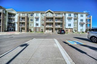 Photo 16: 1106 6118 80 Avenue NE in Calgary: Saddle Ridge Apartment for sale : MLS®# A2123612