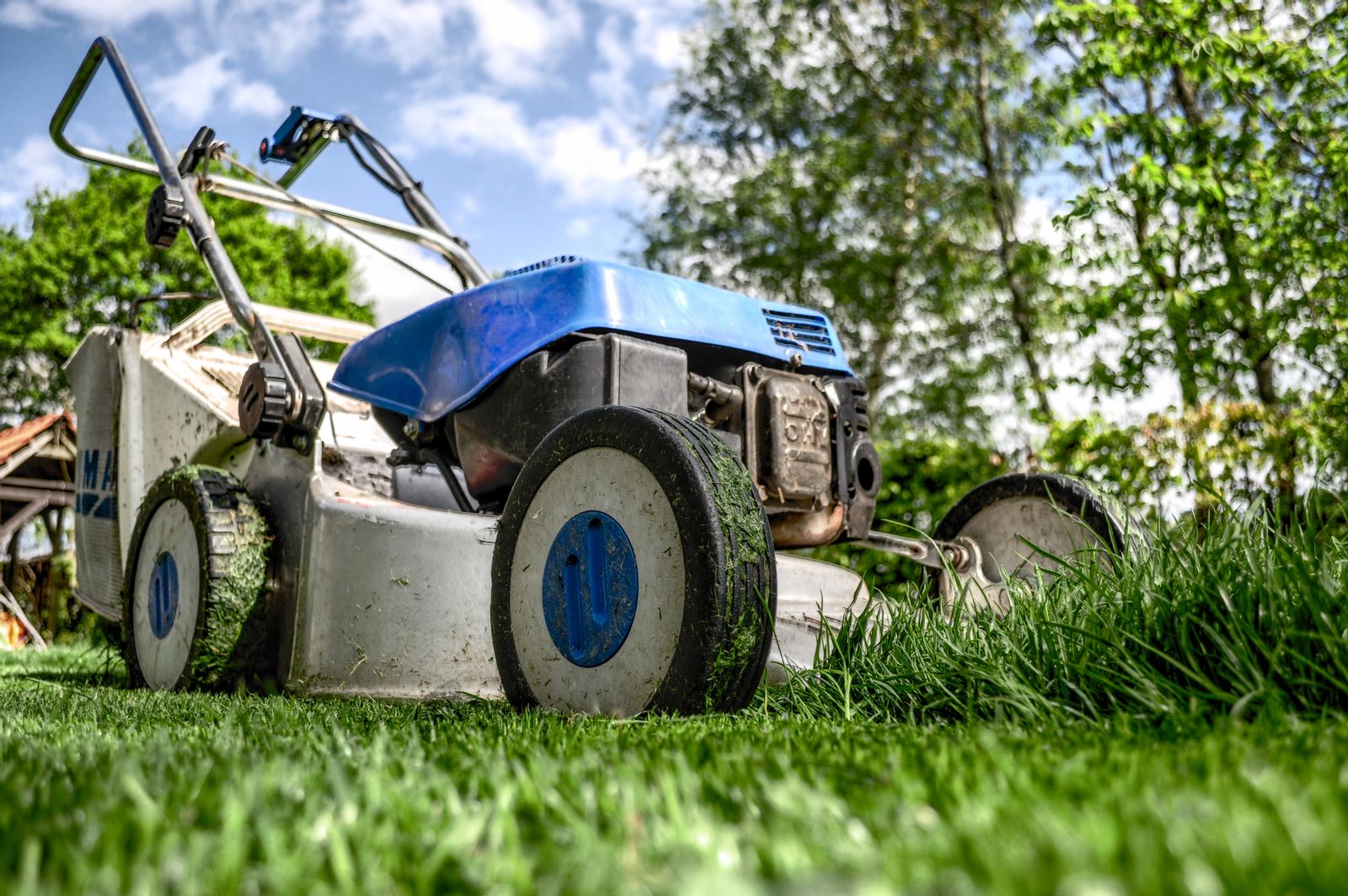 Modern Lawns | What should you do to your lawn?