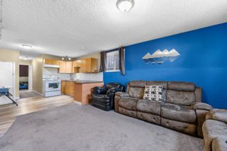 Photo 28: 255 Taravista Drive NE in Calgary: Taradale Detached for sale : MLS®# A2123664