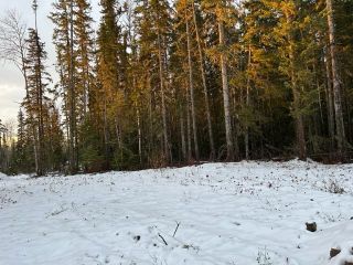 Photo 2: S TABOR LAKE ROAD in Prince George: Tabor Lake Land for sale in "Tabor Lake" (PG Rural East)  : MLS®# R2738807