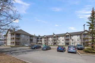 Photo 29: 320 4000 Citadel Meadow Point NW in Calgary: Citadel Apartment for sale : MLS®# A2123539